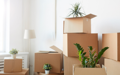 Moving Home Without It Falling Apart – What Most People Get Wrong